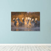 フランス、プロヴァンス。白いカマルグの馬 キャンバスプリント (インサイチュ (ウッドフロア))