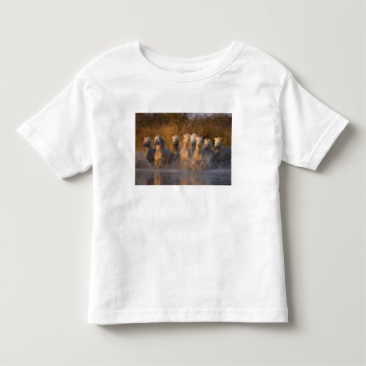 フランス、プロヴァンス。白いカマルグ馬 トドラーTシャツ (正面)