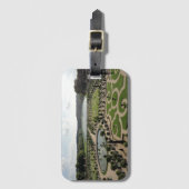 フランス，ベルサイユの庭園 ラゲッジタグ (正面縦)