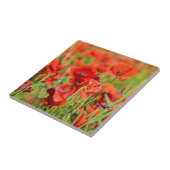 フランス·ポピー畑の閉鎖 タイル (側面)