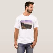 フランス, ラングドック カルカソンヌ 2 Tシャツ (正面フル)