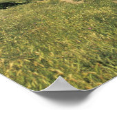 フランス、ランジェドックカルカソンヌ ポスター (角)