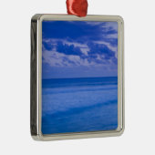 フランス、懇親会島、セントピエール、水辺 メタルオーナメント (右)