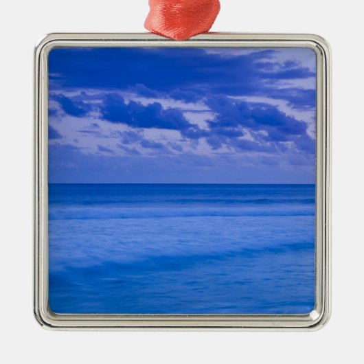 フランス、懇親会島、セントピエール、水辺 メタルオーナメント (正面)