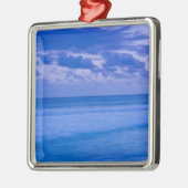 フランス、懇親会島、セントピエール、水辺 メタルオーナメント (左)