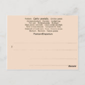 フランス、1789年のバスティーユ内部 ポストカード (裏面)