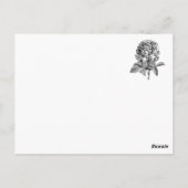 フランセスダンコンベ ポストカード (裏面)