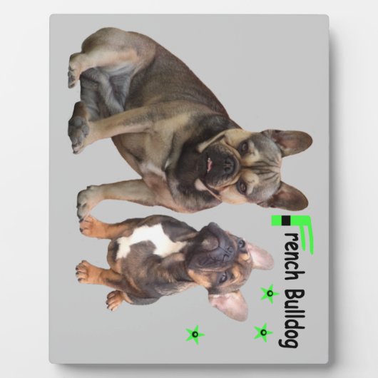 フランゼシシュブルドゲンフォトプラテ フォトプラーク (正面)