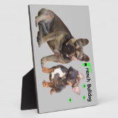 フランゼシシュブルドゲンフォトプラテ フォトプラーク (側面)