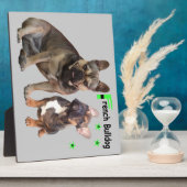 フランゼシシュブルドゲンフォトプラテ フォトプラーク (側面)