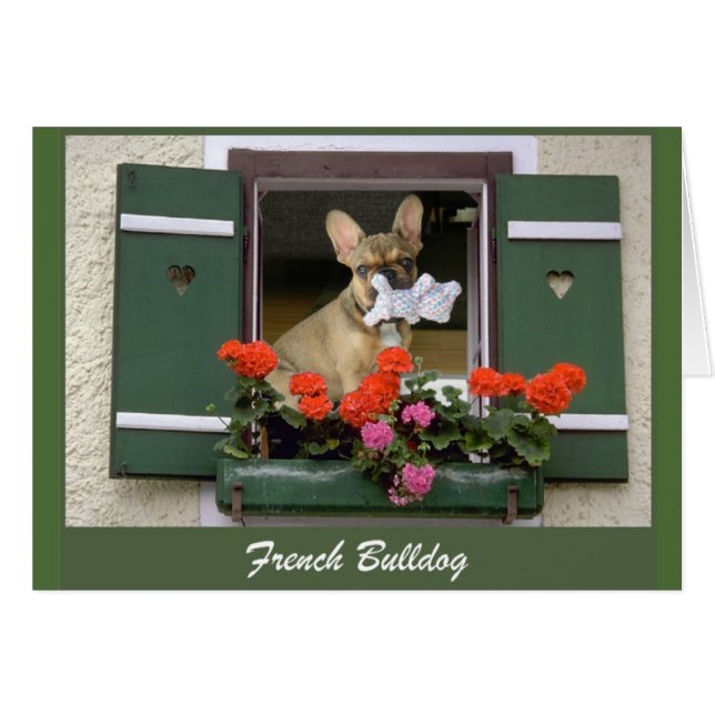 フランゼシシュブルドッゲグルクカルテ (正面横)