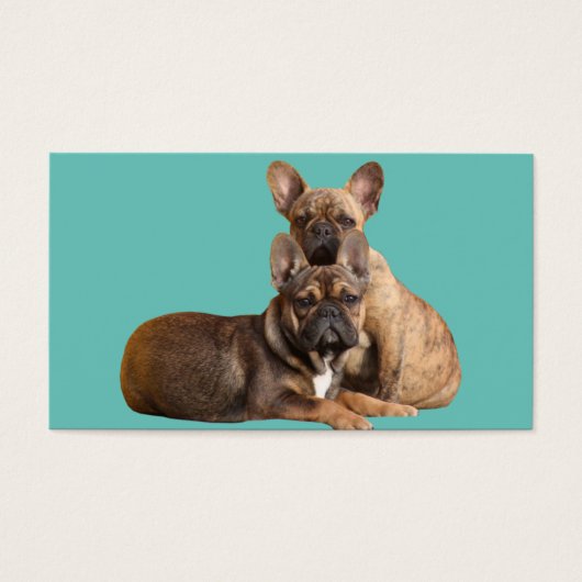 フランゼシシュブルドッゲンヴィステンカルテン (正面)