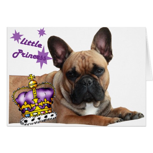 フランゾシシュブルドッゲカルテ (正面横)