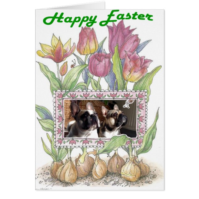 フランゾシシュブルドッゲグルクスカルトオスターン (正面)