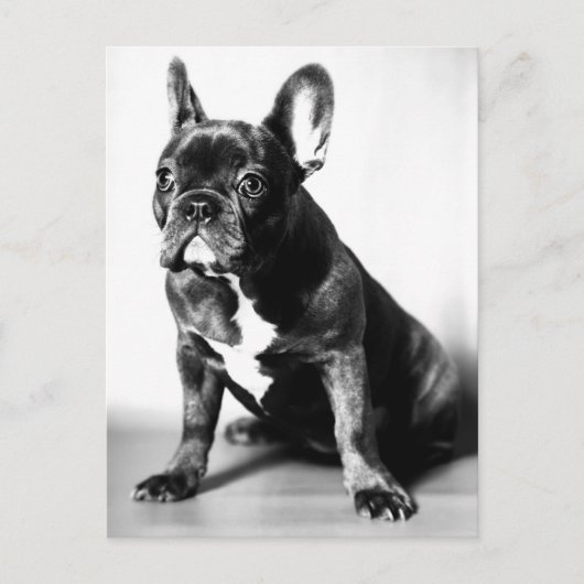 フランゾシシュブルドージュ ポストカード (正面)