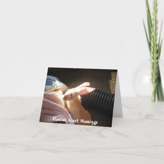 フランダースの巨大な恵みNotecards カード (正面)