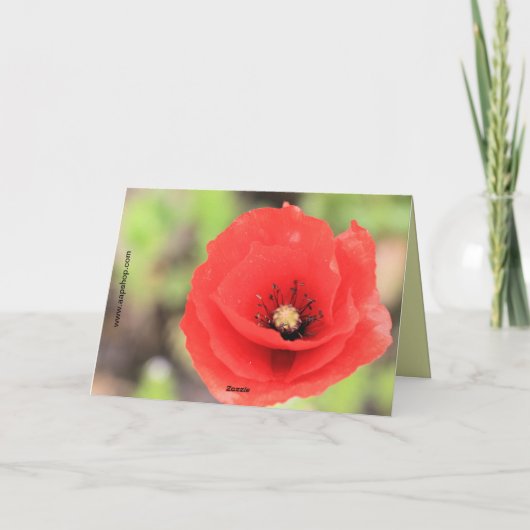 フランダースの野のケシの写真と詩 カード (裏面)