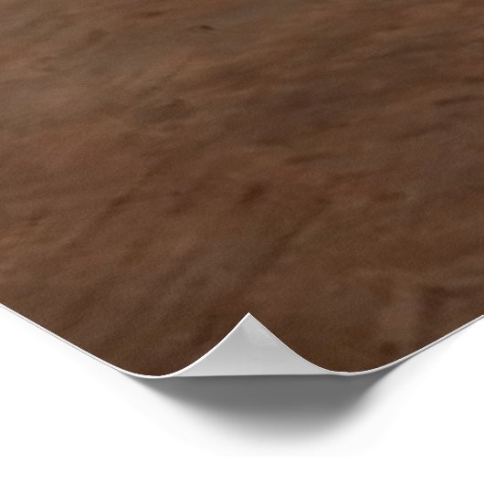 フランチェスコハイエズ – ザキス ポスター (角)