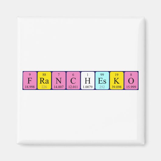 フランチャイズ期間表名磁石 マグネット (正面)