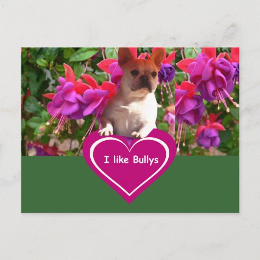 フランツェーシシェブルドゲンポストカルテン ポストカード (正面)