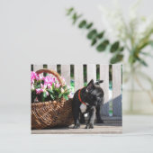 フランツェーシシェブルドゲンポストカルテ ポストカード (スタンド正面)