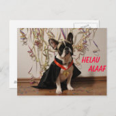 フランツォシシェブルドッゲポストカルテカルネヴァル ポストカード (正面/裏面)