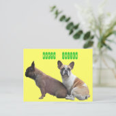 フランツォシシェブルドッゲポストカルテ シーズンポストカード (スタンド正面)