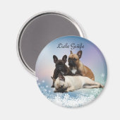 フランツォシシュブルドーゲン磁石 マグネット (正面/裏面)