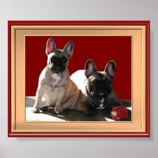 フランツォシシュ・ブルドゲンのポスター ポスター (正面)