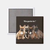 フランツォシシュ・ブルドゲンはグッケンドゥだった。 マグネット (正面/裏面)