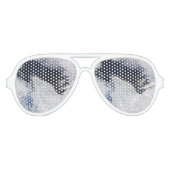 フランツジョゼフグレイシャーエアリアルビュー，ニュージーランド アビエーターサングラス (正面)