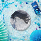 フランツジョゼフグレイシャーエアリアルビュー，ニュージーランド ペーパープレート (パーティー)