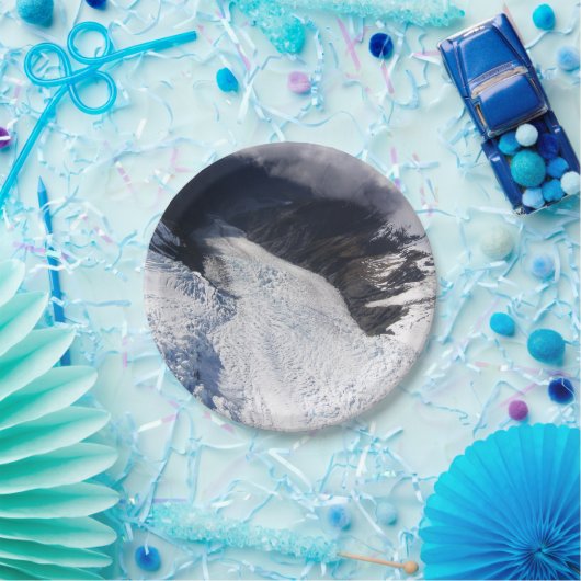 フランツジョゼフグレイシャーエアリアルビュー，ニュージーランド ペーパープレート (パーティー)