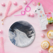 フランツジョゼフグレイシャーエアリアルビュー，ニュージーランド ペーパープレート (パーティー)