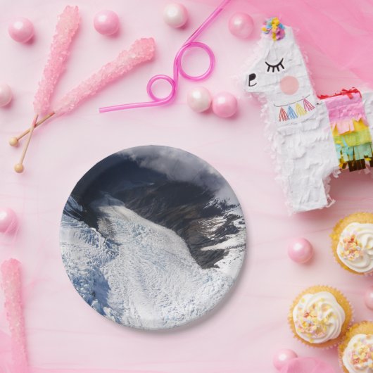 フランツジョゼフグレイシャーエアリアルビュー，ニュージーランド ペーパープレート (パーティー)