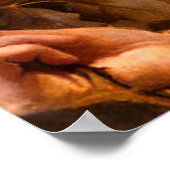 フランツ・ドヴォラックによるバラの女性 ポスター (角)