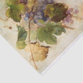 フランツ・ビショフによる葡萄のつる植物 薄葉紙 (詳細)