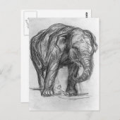 フランツ・マルク・ゾウ ポストカード (正面/裏面)