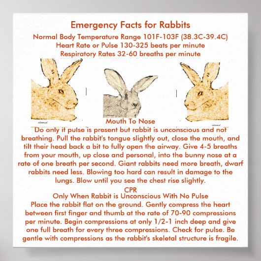 フランドルの大兎のための緊急事態 ポスター (正面)