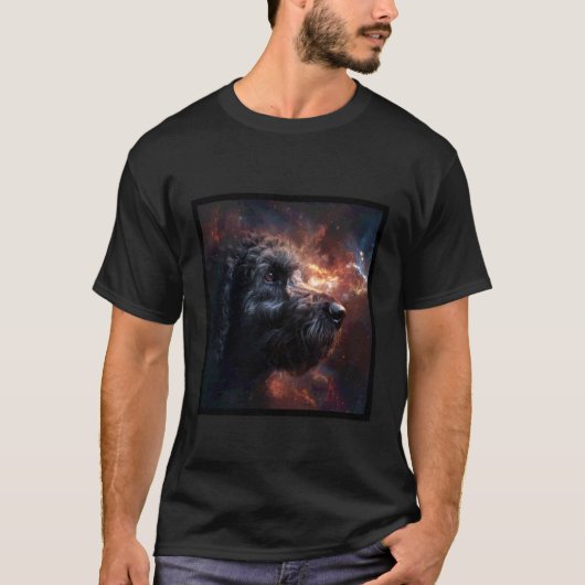 フランドル・ブーヴィエ 宇宙 Tシャツ (正面)
