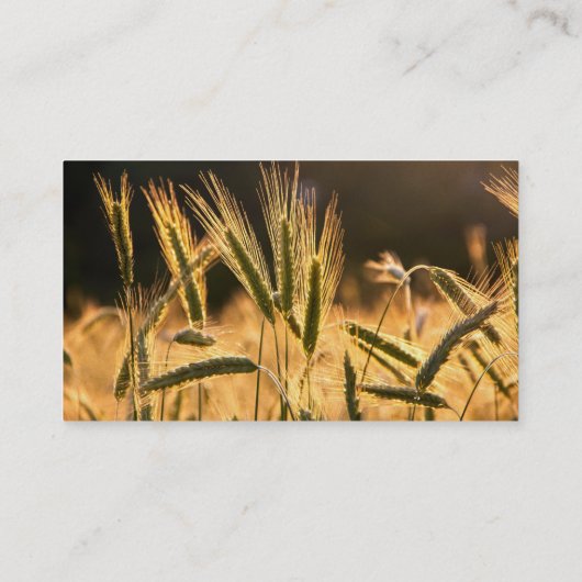 フラーム生小麦畑 名刺 (裏面)