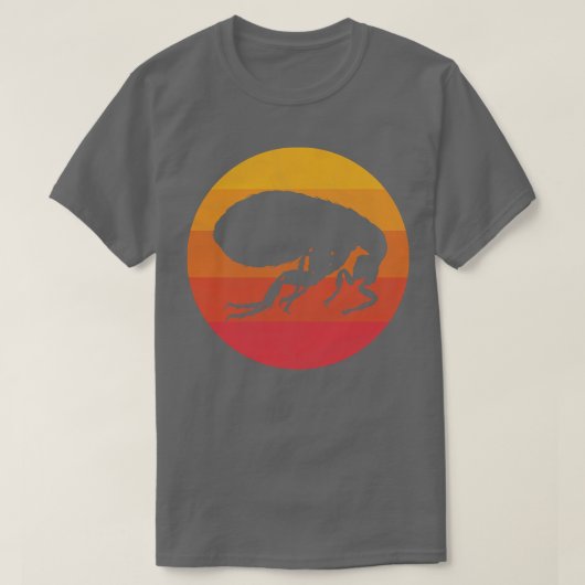 フラー Tシャツ (デザイン正面)
