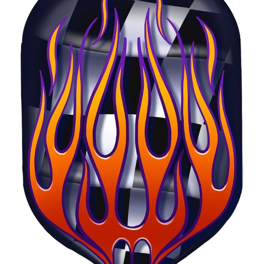 フラ市松模様にグ炎ピックボールパドル ピックルボールラケット