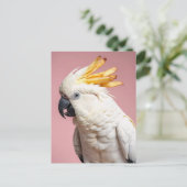 フリおもしろいーズフランスの紋付きコッカトゥー ポストカード (スタンド正面)