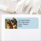 フリアンズ ラベル (インサイチュ)