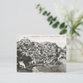 フリアーパークはがき#7 ポストカード (スタンド正面)