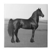 フリエ誇りを持ったシア黒牡馬 タイル (正面)