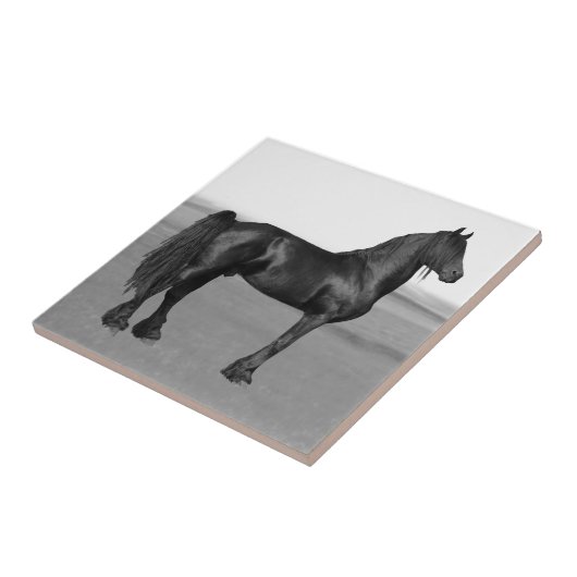 フリエ誇りを持ったシア黒牡馬 タイル (側面)