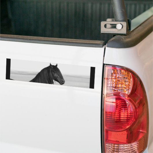 フリエ誇りを持ったシア黒牡馬 バンパーステッカー (トラック上)