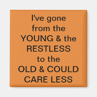 フリグおもしろい磁石 マグネット